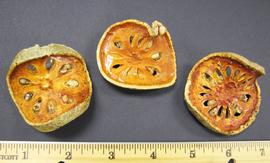   Fruit:   Aegle marmelos ; Photo by N. Diaz, USDA APHIS PPQ, imageID.idtools.org
